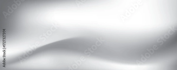 Fototapeta Abstract white and gray gradient background. Vector illustration.