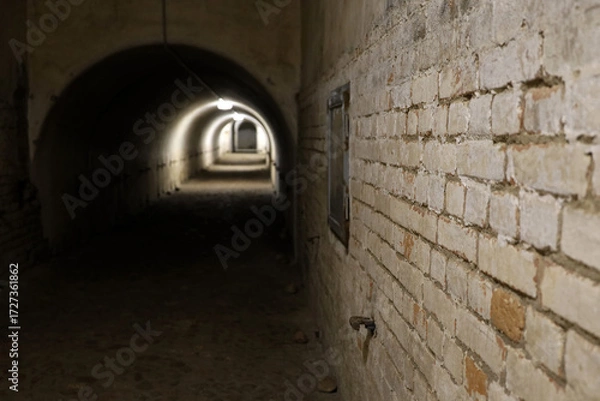 Fototapeta Old brick tunnel with dim lighting. Dark underground corridor with arched ceiling, concept of history, abandoned places or suspense