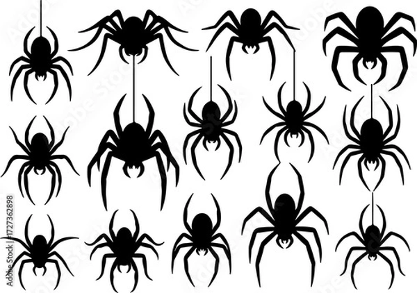Fototapeta Set of Creepy Spider Silhouettes Hanging on Web Isolated on White Background
