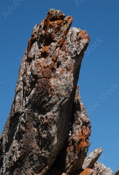 Fototapeta Natural variety found in an Alpine valley. Europe.
They were mainly taken in the Gran Paradiso valley, Italy. They were taken during a 7-day hike. From 1800 to 3100 meters altitude. 