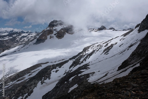 Fototapeta Natural variety found in an Alpine valley. Europe.
They were mainly taken in the Gran Paradiso valley, Italy. They were taken during a 7-day hike. From 1800 to 3100 meters altitude. 