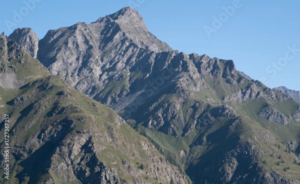 Fototapeta Natural variety found in an Alpine valley. Europe.
They were mainly taken in the Gran Paradiso valley, Italy. They were taken during a 7-day hike. From 1800 to 3100 meters altitude. 