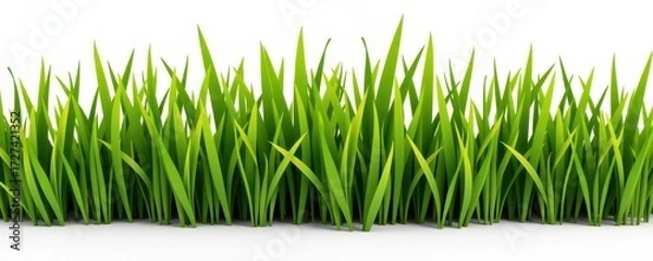Fototapeta Lush green grass isolated on a pure white background, perfect for compositing and design projects, greenery, blades