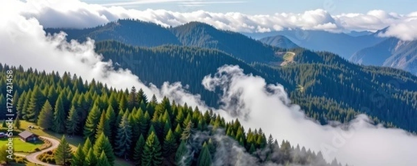 Fototapeta Misty mountain slope, dense pine forest shrouded in fog, dramatic landscape of rolling hills and evergreen trees, mist, nature