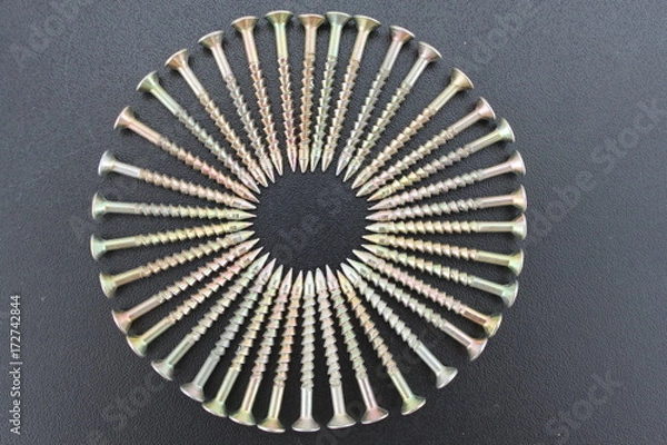 Obraz The screws are arranged in a circle