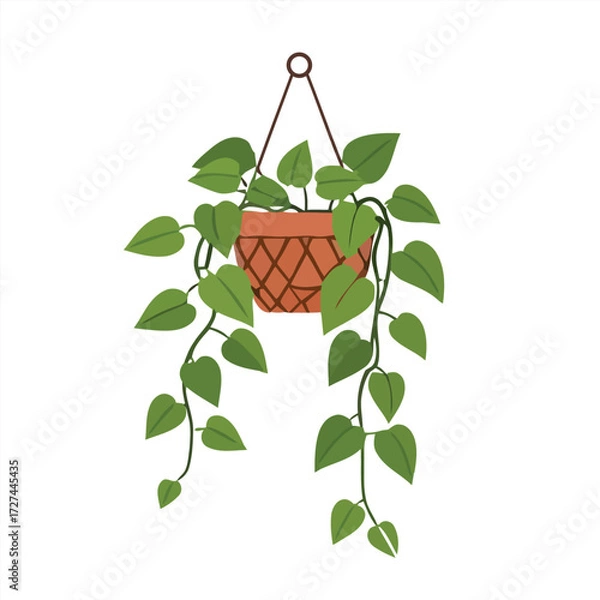 Fototapeta Lush green houseplant with cascading vines in a decorative hanging pot, isolated vector illustration for home decor