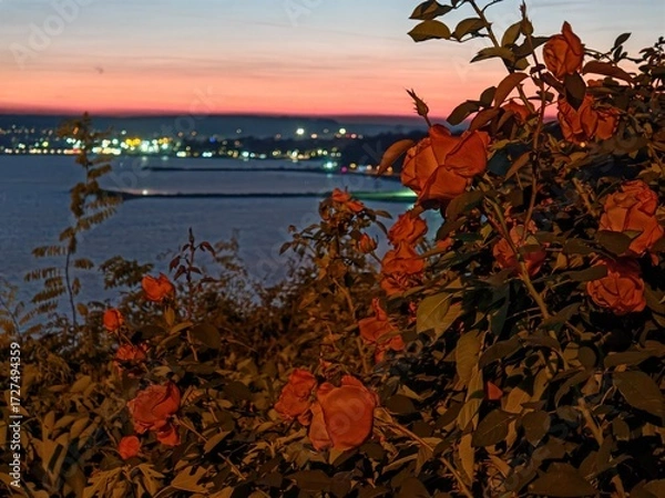 Fototapeta Nice view from Varna and Black sea