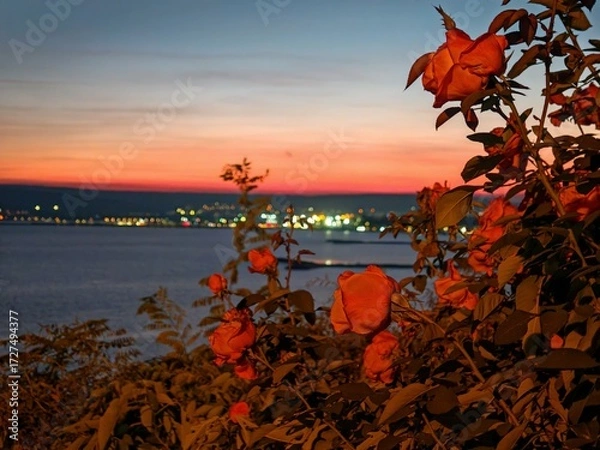 Fototapeta Nice view from Varna and Black sea