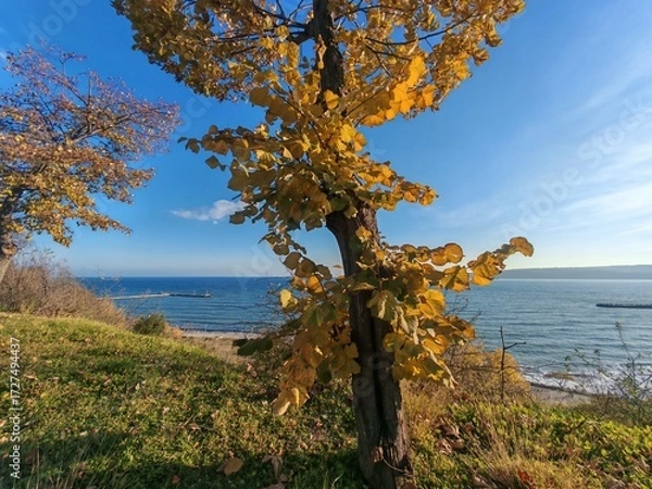 Fototapeta Nice view from Varna and Black sea