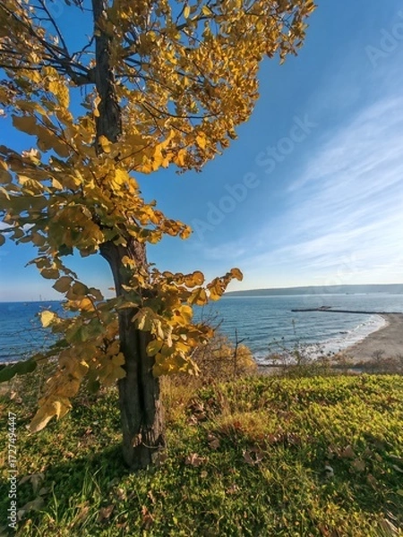 Fototapeta Nice view from Varna and Black sea