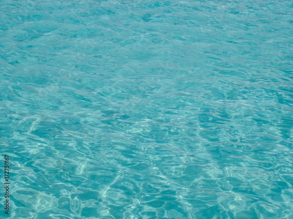 Obraz travel the world