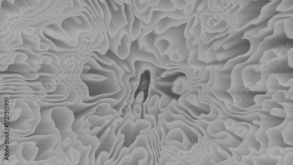 Fototapeta Abstract Grayscale Topographic Pattern