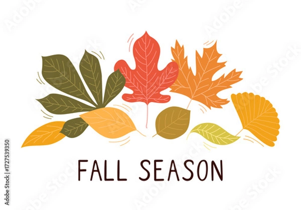Fototapeta Illustration of fallen leaves from trees in fall season. Ginkgo leaves, maple leaves. A vibrant collection of autumn leaves in various shapes and colors, perfect for seasonal designs. Vector