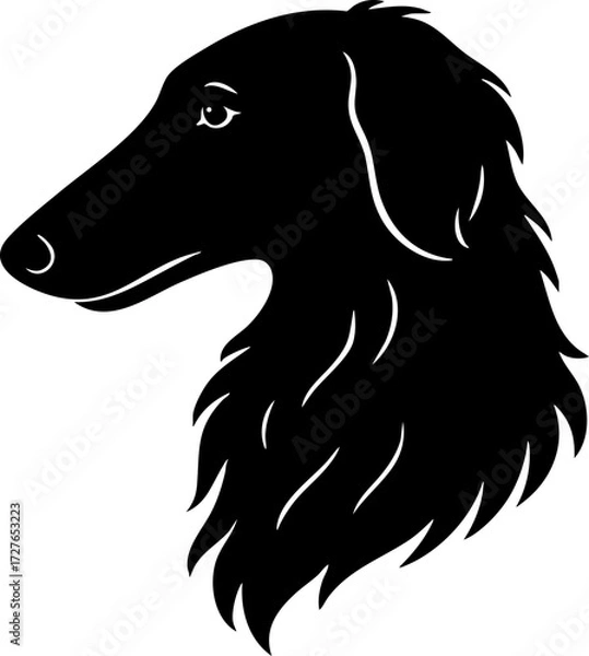 Fototapeta Borzoi profile view showing elongated head, arched nose, and soft coat.
