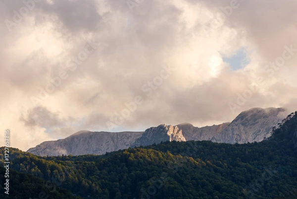 Fototapeta Cloudy sunset highlights majestic mountain range and forest in the evening light