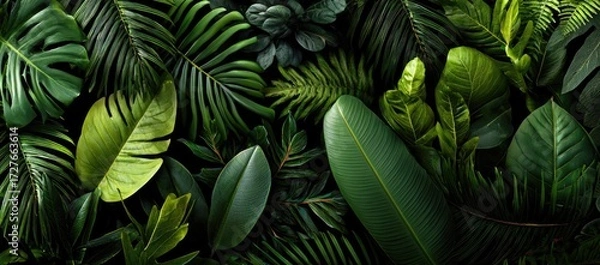 Fototapeta Tropical Leaf Pattern