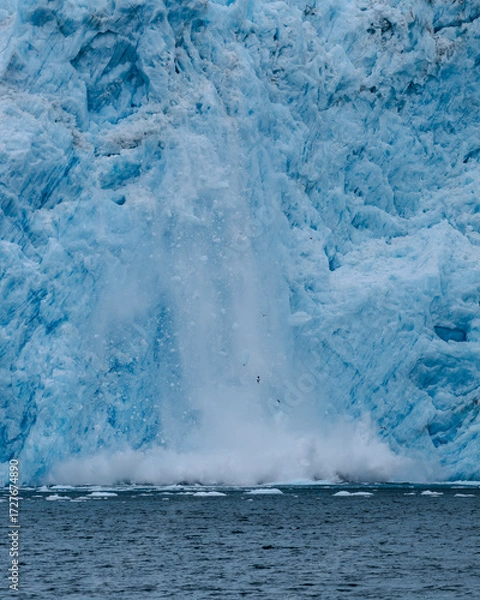 Fototapeta Aialik Glacier face calving ice bergs into the bay with seabirds flying in front of the mountainous spray of the splash provides perspective on its size