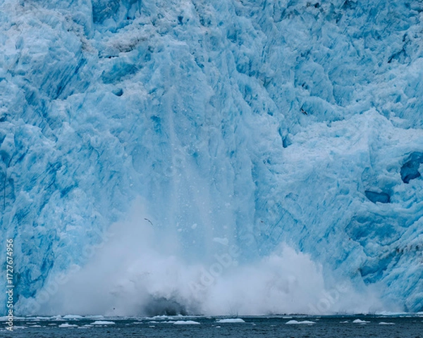 Fototapeta Aialik Glacier face calving ice bergs into the bay with seabirds flying in front of the mountainous spray of the splash provides perspective on its size