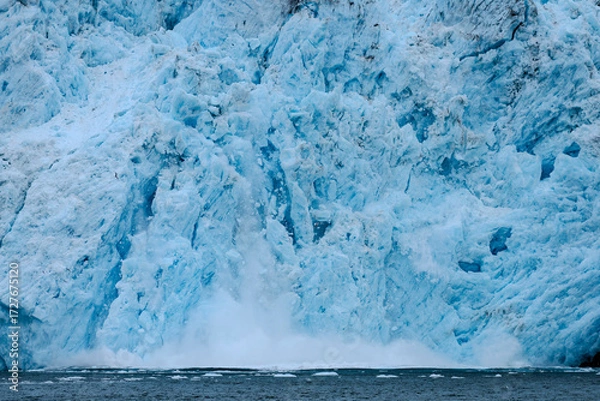 Fototapeta Aialik Glacier face calving ice bergs into the bay with seabirds flying in front of the mountainous spray of the splash provides perspective on its size