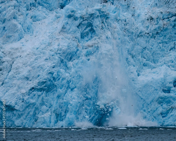Fototapeta Aialik Glacier face calving ice bergs into the bay with seabirds flying in front of the mountainous spray of the splash provides perspective on its size