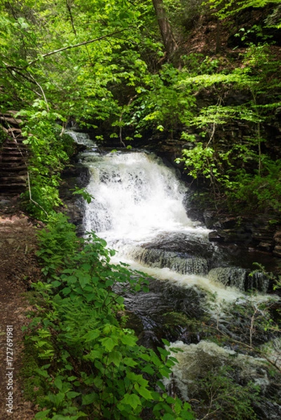Fototapeta Springtime at 39 foot tall Mohican Falls in Ricketts Glen State Park in Pennsylvania.