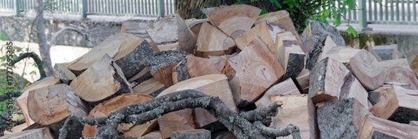 Fototapeta Chopped wood logs from tree which suffered storm damage