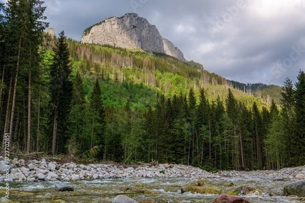 Fototapeta Clear mountain stream with rocky shore flowing through lush green forest beneath dramatic limestone cliffs under a moody sky. Spring or early summer landscape in pristine nature.