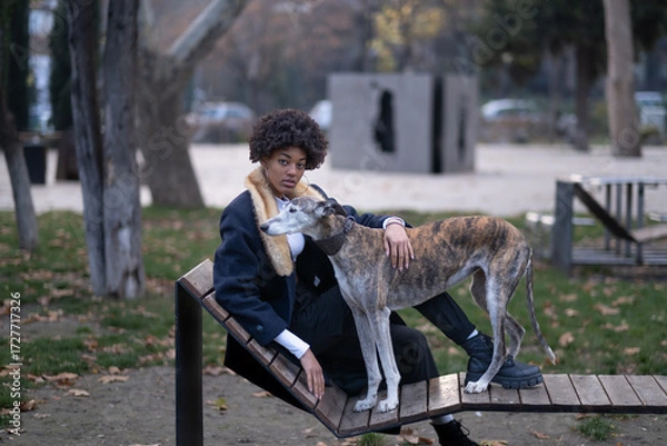 Fototapeta Stylish young woman with afro hair sitting on a modern park bench, confidently posing with her greyhound dog, showcasing diversity, elegance, and authentic companionship