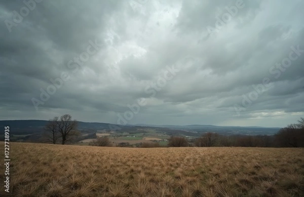 Fototapeta Overcast sky looms above a dry grass field with distant rolling hills and a rural landscape. Bare trees dot the horizon under a moody atmosphere, suggesting an approaching storm.