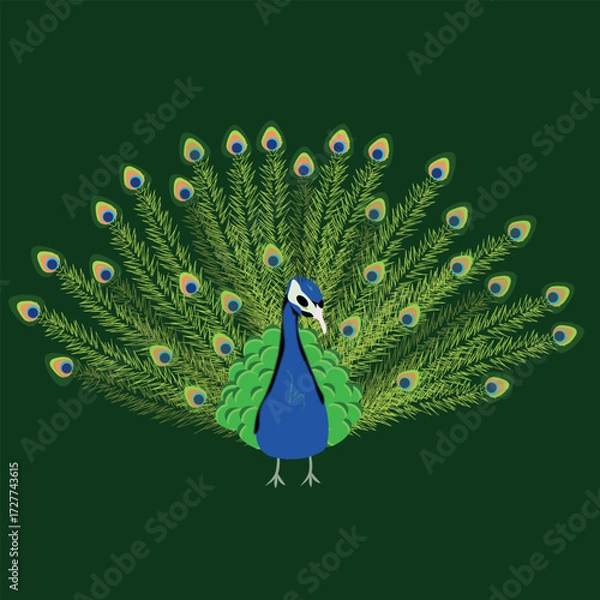 Fototapeta Beautiful and detailed illustration of a peacock with decorative feathers on a dark green background. Perfect for print, textiles, cards, posters and digital projects.