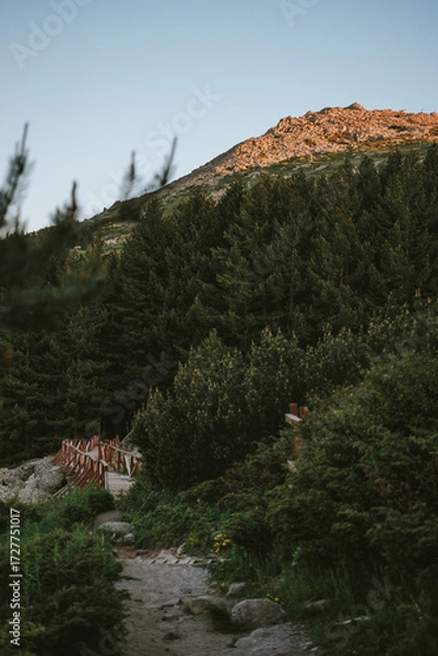 Obraz river in the mountains