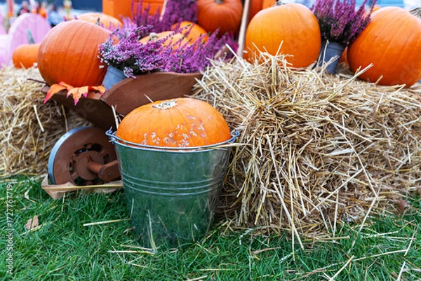 Fototapeta Rustic Autumn Still Life with Pumpkins, Hay, and Dried Flowers for Fall Decor and Festive Projects