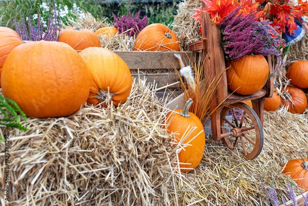 Fototapeta Rustic Autumn Still Life with Pumpkins, Hay, and Wooden Wagon in Farm Setting