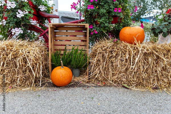 Fototapeta Rustic Fall Harvest Still Life with Pumpkins, Haybales, and Autumn Foliage in Countryside Setting
