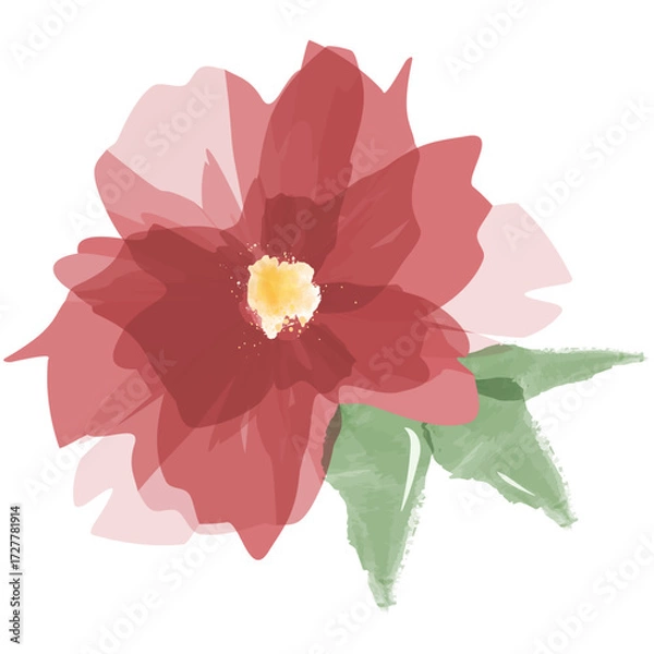 Fototapeta Watercolor poinsettia flower illustration, red Christmas floral design with green leaves, festive winter holiday decoration, elegant floral art, isolated vector for greeting cards and invitations