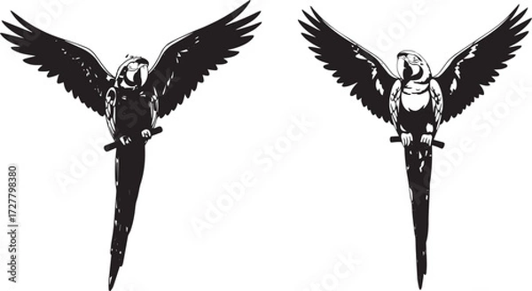 Obraz Parrot Pair with Spread Wings, Black and White Vector Illustration Featuring Symmetrical Tropical Birds on Perch