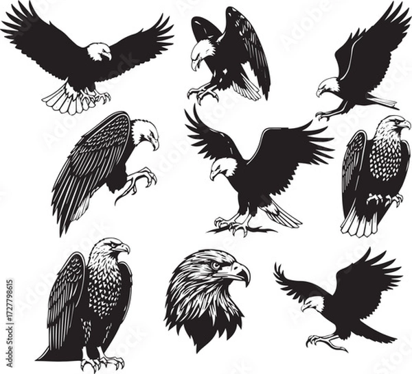 Fototapeta Eagle Silhouette Collection, Black and White Vector Set of Nine Poses Including Flying, Perching, and Landing