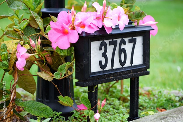 Obraz A house number on the front yard with flowers in neighborhood