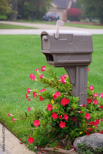 Obraz Plastic mail box with flowers around in neighborhood