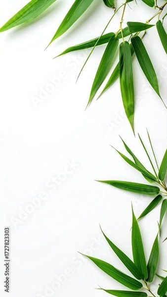 Fototapeta Lush green bamboo leaves arranged asymmetrically against a clean white backdrop, creating a vibrant, natural border