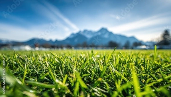 Fototapeta Close-up view of vibrant green grass with a backdrop of distant mountains on a clear day.