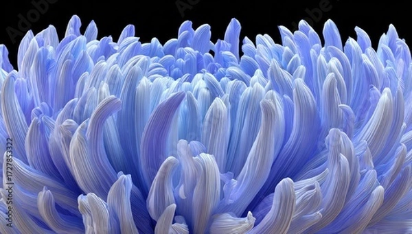 Fototapeta Detailed close-up of a vibrant, light-blue chrysanthemum blossom, showcasing intricate texture and delicate lines.