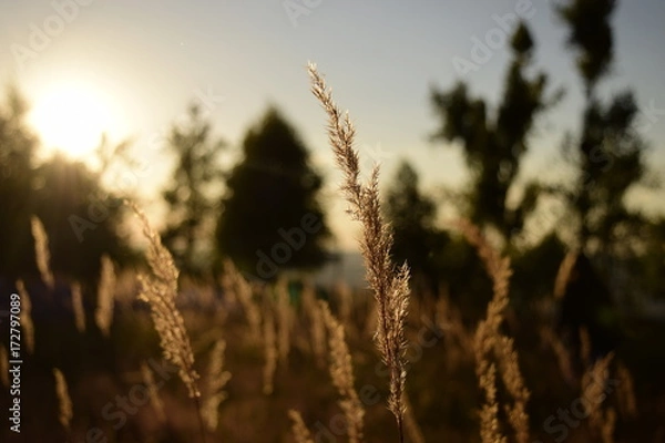 Obraz The first touch