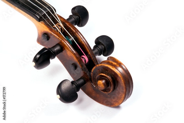 Obraz violin scroll
