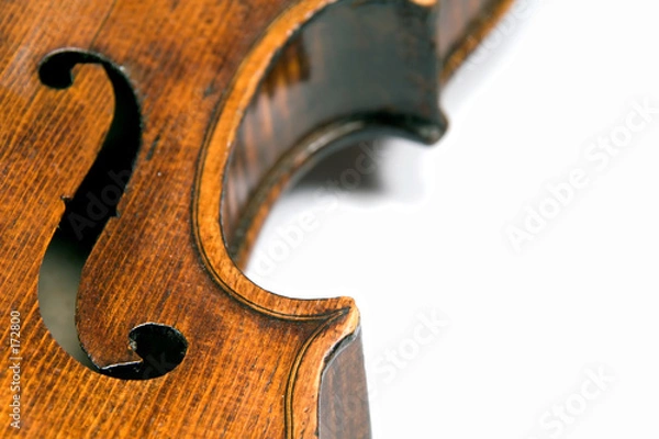 Obraz violin f-hole
