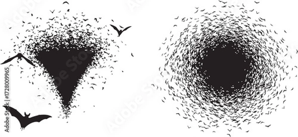 Fototapeta Silhouettes of Bats Swarming in Tornado and Circular Patterns