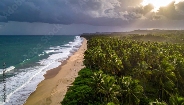 Obraz Aerial View of Tropical Beach with Lush Greenery and Dramatic Sky.