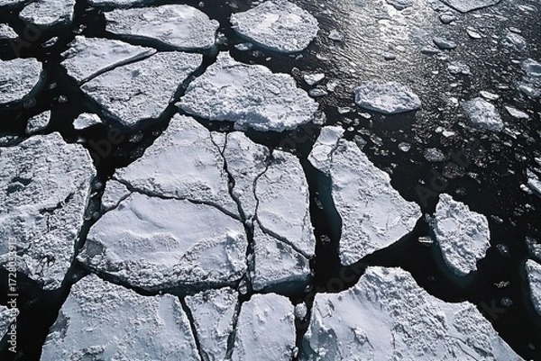 Fototapeta Large irregular chunks of floating ice breaking apart over dark cold water