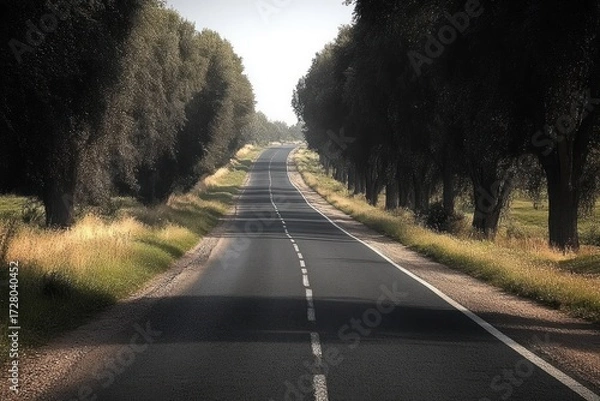 Fototapeta Long deserted road lined with tall trees on both sides curving gently in the distance under soft natural light creating calm and peaceful atmosphere