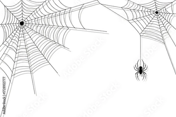 Fototapeta Detailed spooky halloween spiderweb design with a small spider hanging down isolated on transparent background